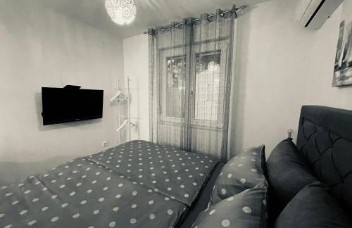 Studio Calma - Foto 22