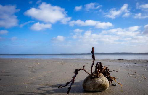 Ferienhaus Bockholm 24 c - Foto 40