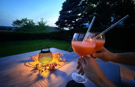 Panorama-Übernachtungen - 4 Sterne DTV - eigene Terrasse mit Garten - Infrarot-Sauna mit Dampfbad - Photo 24