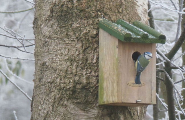 Fine Vacation Home Near Lemelerberg - Photo 20