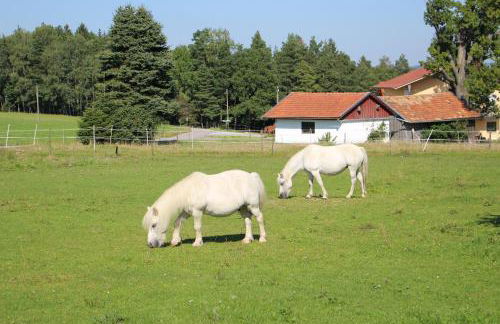 Ponyhof Adam Urlaub auf dem Bauernhof - Foto 33