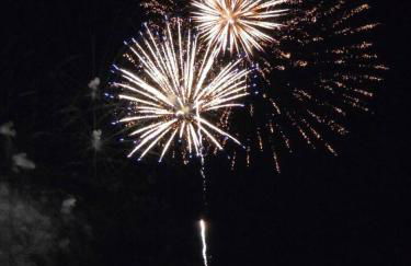 The Blue Sapphire 3BR 3BA Luxury Lakefront Home on Mineola Bay Stunning Views on Chain O Lakes - Photo 7