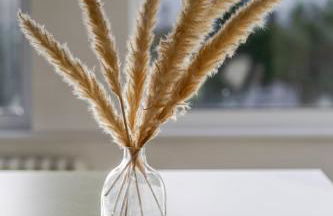 Stylish 3-Bed Home - 2 Mins to Beach & Town - Foto 14