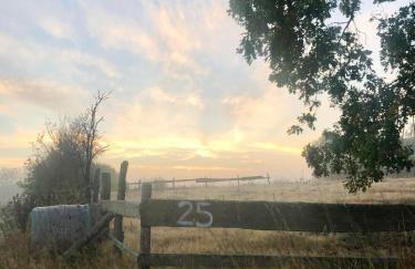 Prosinko 25 - Foto 3