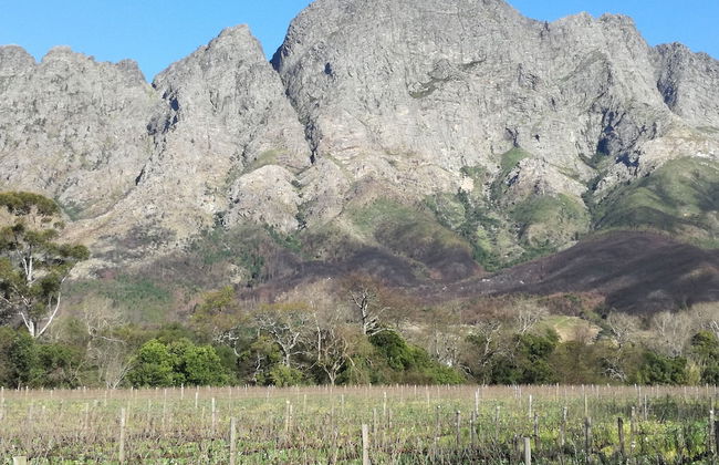 Bleu Cobalt Cottage - Photo 16