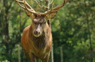 Can Batlló, entorno acojedor y romántico - Foto 15
