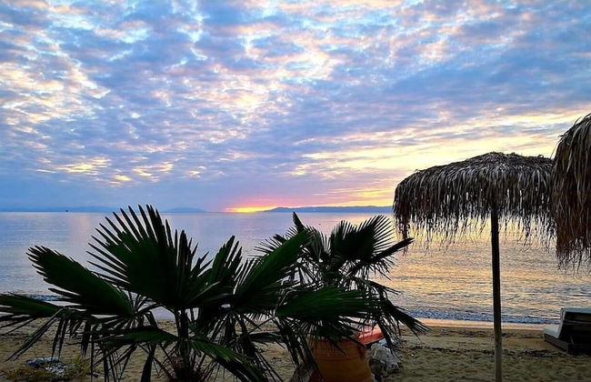 Byblos Mare - Photo 35