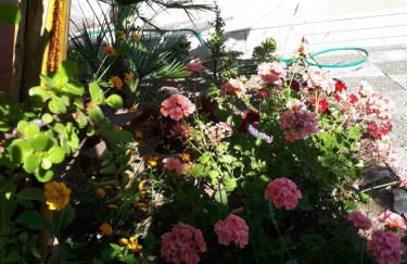 Villetta Lucia - Foto 15