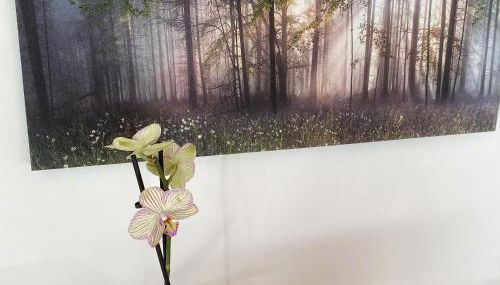 Agriturismo Albana - Foto 5