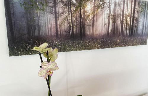 Agriturismo Albana - Foto 5