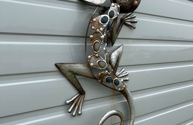 Luxury 2 Bedroom van Pets go Free - Foto 30