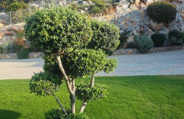 Villa petros - Foto 64