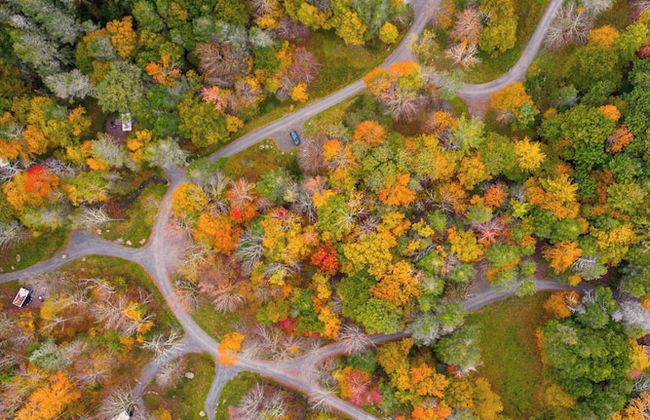 Postcard Cabins Western Catskills, Outdoor Collection by Marriott Bonvoy - Foto 2