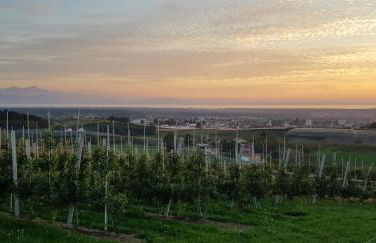 Ferienwohnung Stryck - Foto 22