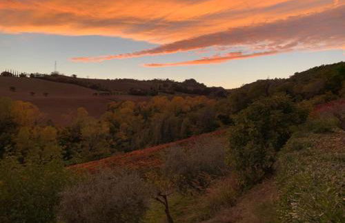Vineyard Farmhouse in Massignano - Foto 25