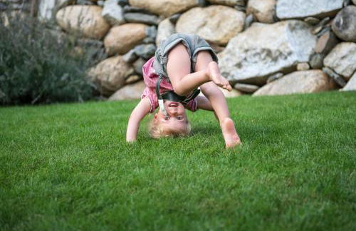 Ölackererhof - Foto 73