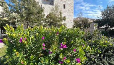 Achelatis Traditional Guest Houses - Foto 5