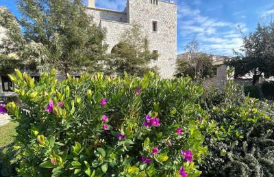 Achelatis Traditional Guest Houses - Foto 5