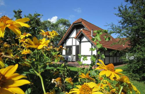 Ferienhaus Deichgraf 86 im Feriend - Photo 22