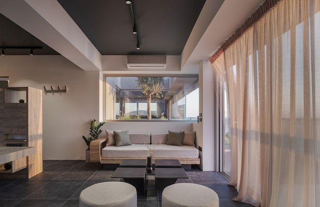 3 Olive Trees - Foto 23