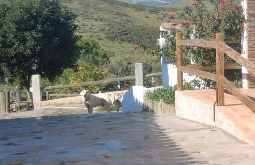 Horta da Quinta - Foto 69