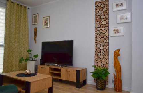 Apartament Gustav - Foto 4