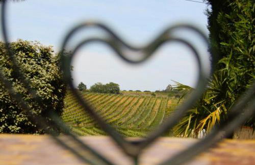 La maison des vendangeurs - Foto 50