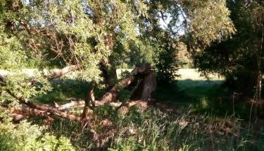 La Vida Suite - Foto 5