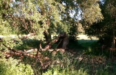 Eden 1 Zimmer Appartment - Foto 9