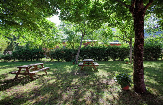 Agriturismo Collelignani - Foto 39