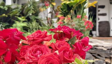 Casa la plaza - Foto 4