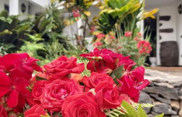 Casa la plaza - Foto 4