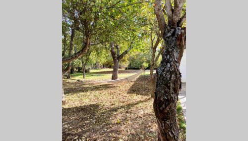 Casa rural: Villa Marías - Foto 2