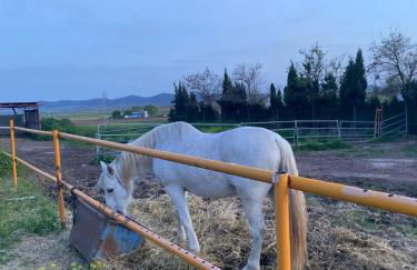 FINCA EL CERRO - Foto 12