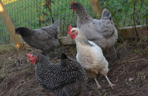 1 Bed in Thirsk oc-40354 - Foto 20