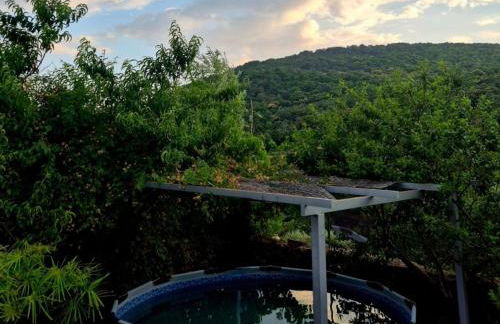 La Casa de Cadia I - Foto 1