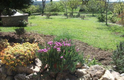 Casa Vacanze Valdicciola - Foto 24