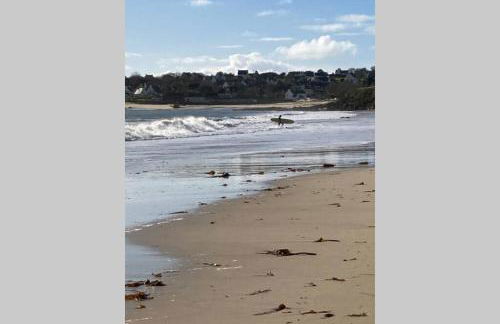 Maison près de la Pointe du Raz - Foto 51