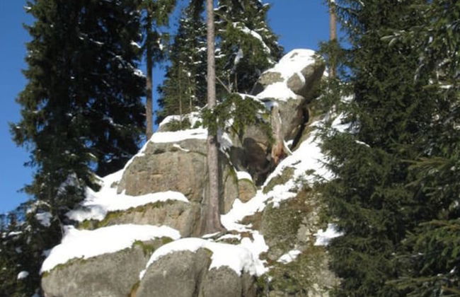 Gutsweg One - Apartment 2 - Foto 4