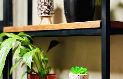 Quarto dos Vinhos - Foto 19