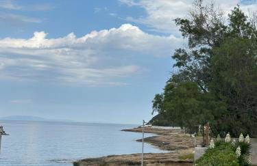Coast Cottage Porto Rafti-Avlaki by BRP-Properties - Foto 14