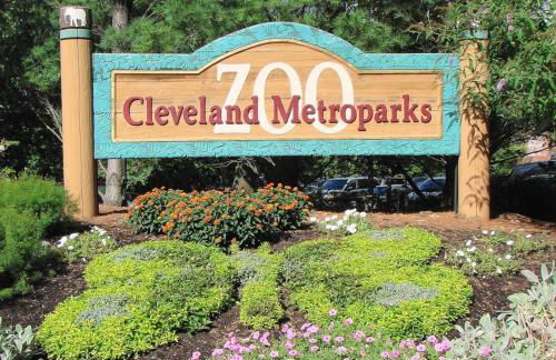 Stunning 2BR-1B Apt+Mins to Zoo& D/T+HD Projector - Foto 70