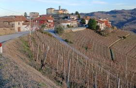 Beautiful private house among the Moscato vineyards - Foto 22