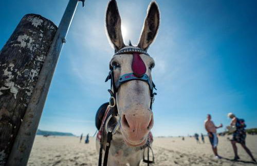 Hafan-Glan-Mor - Foto 9