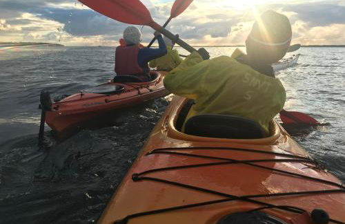 Cocon entre presqu'île du Cap Ferret et plages océanes - terrasse - 1 vélo gratuit - Foto 19