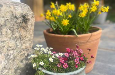 Peaceful Dyfi Valley Cottage - Hendre-gau - Photo 16