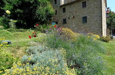 Pieve di Cà Maggiore - Photo 8