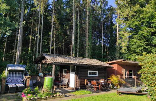 Casa Foresta - minimalistisches 1-Raum Tiny House direkt am Wald - Foto 1