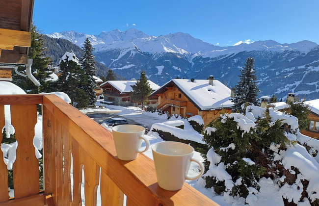 Baudrier A28 - Foto 22