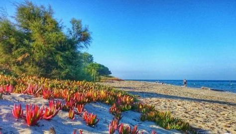 Soleil & mer sur la Costa Verde - Foto 4